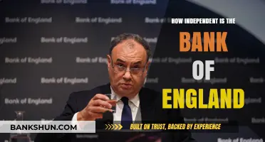How Independent is the Bank of England? A Critical Analysis