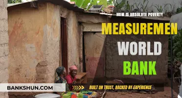 Understanding Absolute Poverty: World Bank's Measurement Methods Explained