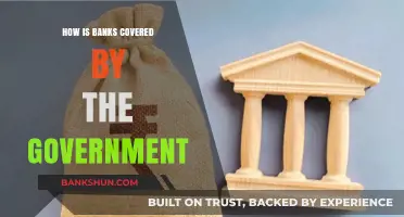 Government's Role in Safeguarding Banks: Policies, Protections, and Oversight
