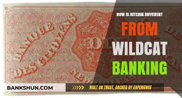 Bitcoin vs. Wildcat Banking: Key Differences in Decentralized Finance