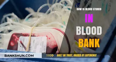Blood Bank Storage: Safeguarding Life-Saving Donations for Transfusions