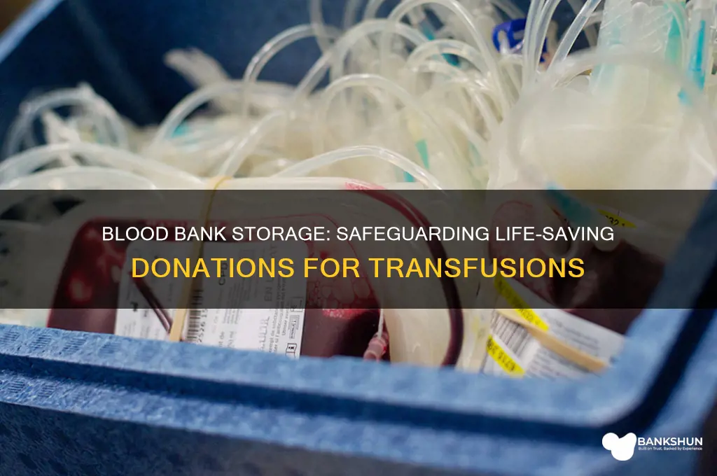 how is blood stored in blood bank