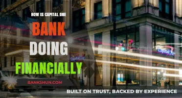 Capital One's Financial Health: A Comprehensive Performance Analysis