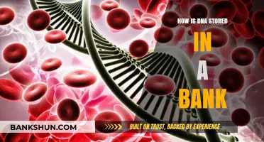 How DNA is Safely Stored in a Biobank: A Comprehensive Guide