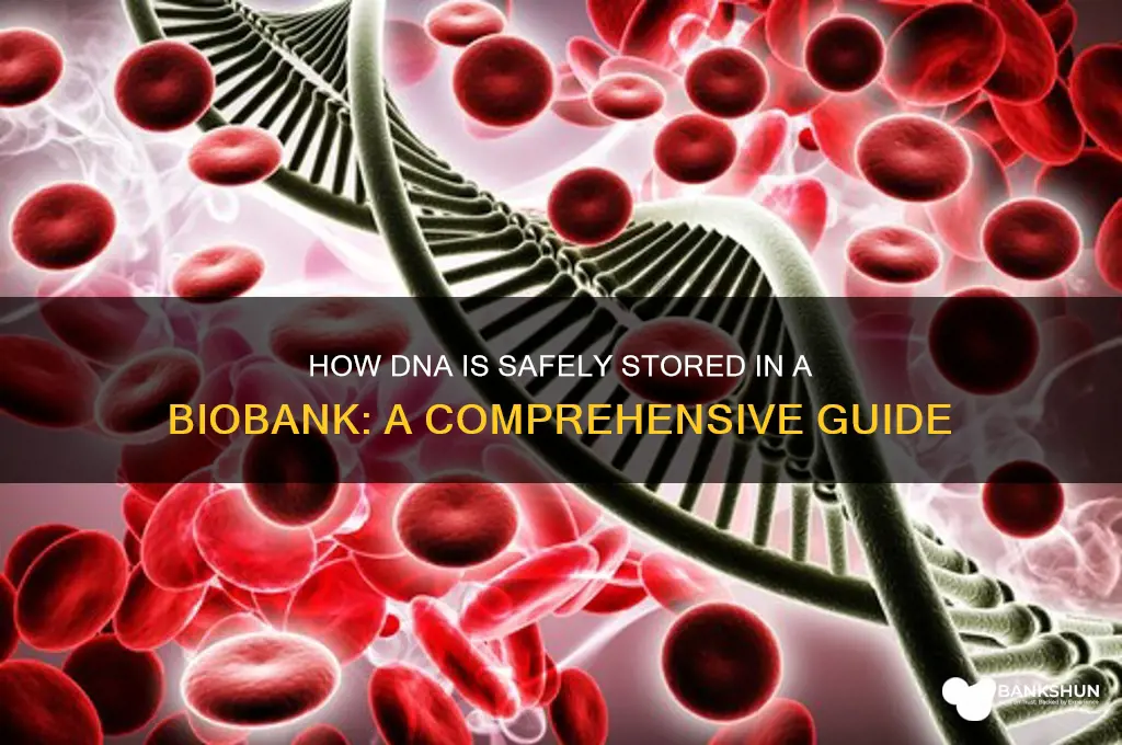 how is dna stored in a bank