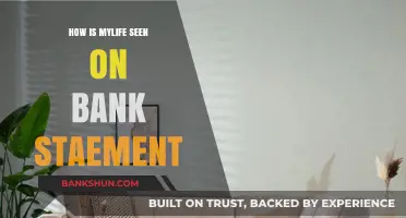 Understanding How Your Lifestyle Reflects on Your Bank Statement