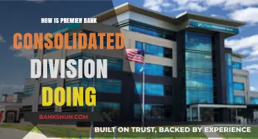 Premier Bank Consolidated Division Performance: Growth, Challenges, and Future Outlook