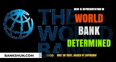 Understanding World Bank Representation: Factors and Decision-Making Processes