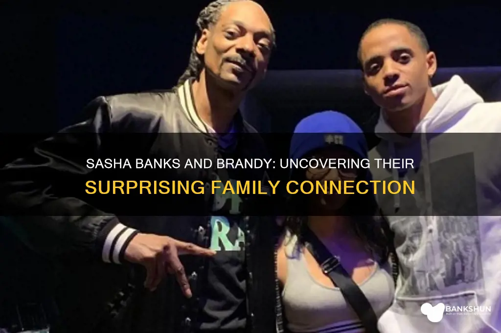 how is sasha banks related to brandy