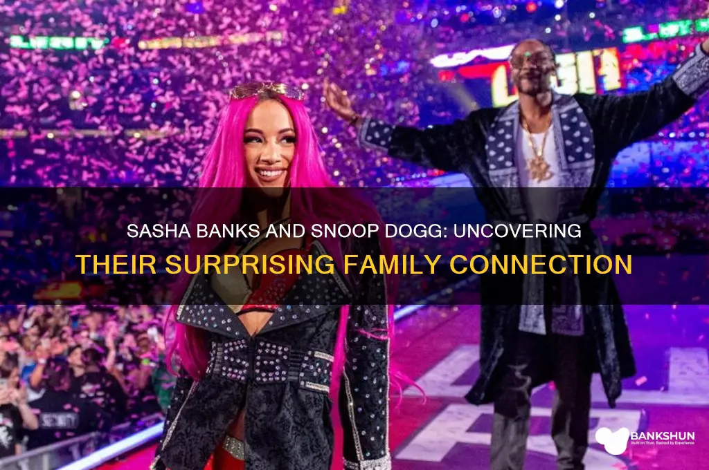 how is sasha banks related to snoop