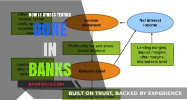 Understanding Bank Stress Testing: Methods, Process, and Importance