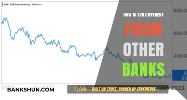 SVB vs. Traditional Banks: Unique Business Model and Focus
