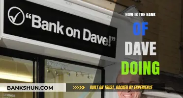 Bank of Dave's Progress: Assessing Its Performance and Impact Today
