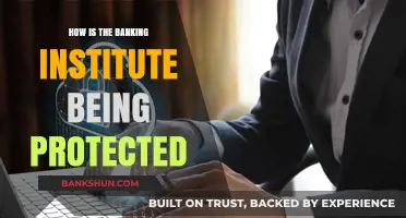 Securing Banking Institutes: Advanced Measures to Safeguard Financial Systems