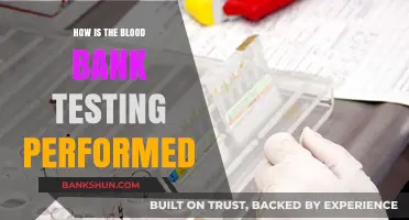 Blood Bank Testing Process: Steps, Safety, and Quality Assurance Explained