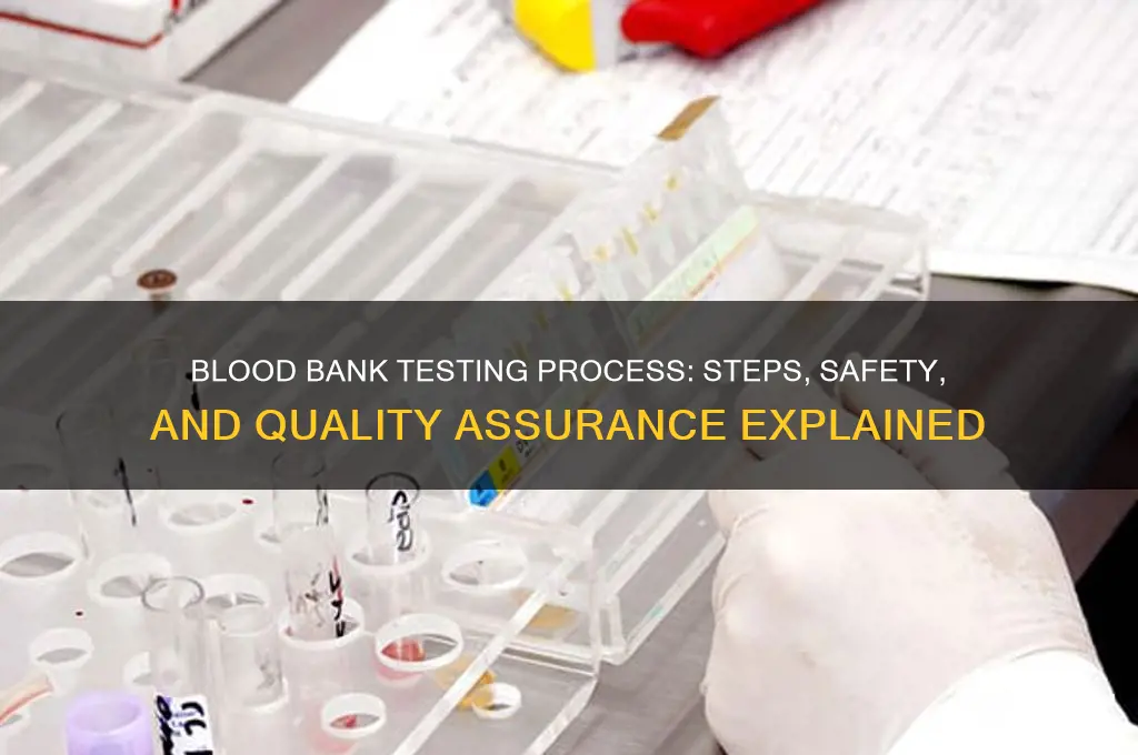 how is the blood bank testing performed
