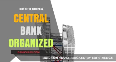 Understanding the Structure and Governance of the European Central Bank