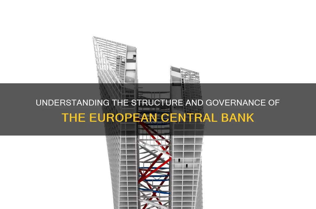 how is the european central bank organized