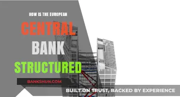 Understanding the European Central Bank's Organizational Structure and Functions