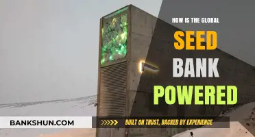 Sustaining Biodiversity: The Innovative Power Behind Global Seed Banks