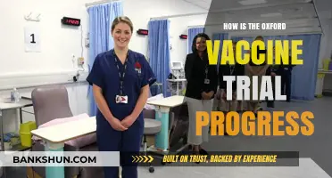 Oxford Vaccine Trial Progress: Latest Updates and Key Developments
