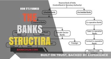 Understanding the Formation and Structure of Modern Banking Systems