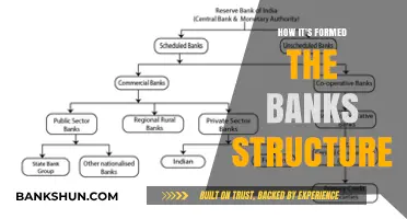 Understanding the Formation and Structure of Modern Banking Systems