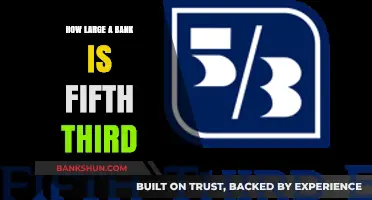Exploring Fifth Third Bank's Size and Financial Impact in the US