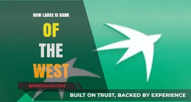 Exploring Bank of the West's Size: Assets, Branches, and Market Presence