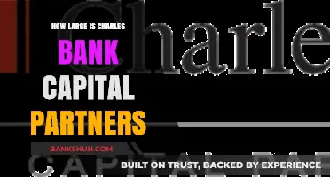 Exploring the Scale of Charlesbank Capital Partners' Financial Resources