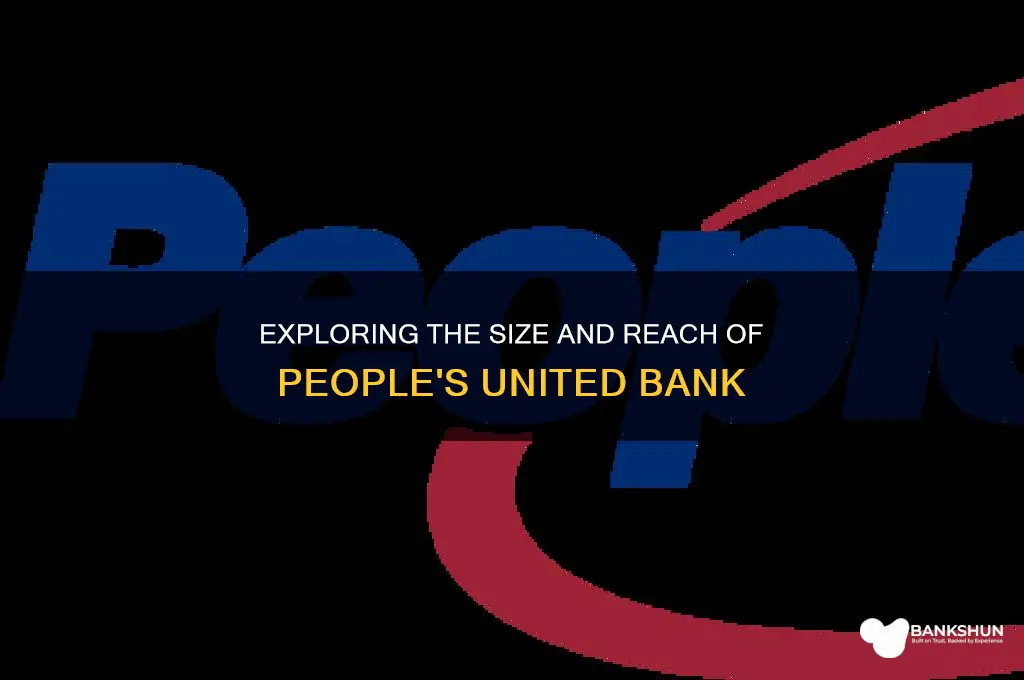 how large is people