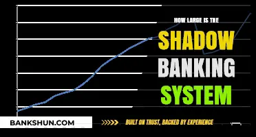 Unveiling the Scale: How Large is the Shadow Banking System?