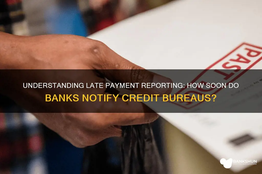 how late before bank reports late payment