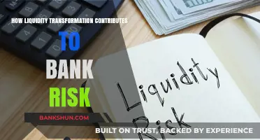 Liquidity Transformation's Role in Amplifying Bank Risk Exposure