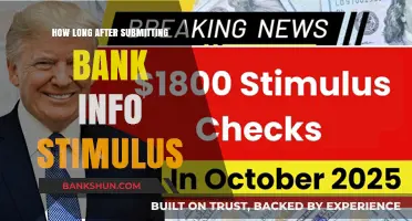When Will Your Stimulus Arrive After Submitting Bank Details?