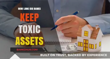 Toxic Assets: How Long Did Banks Hold Onto Financial Risks?