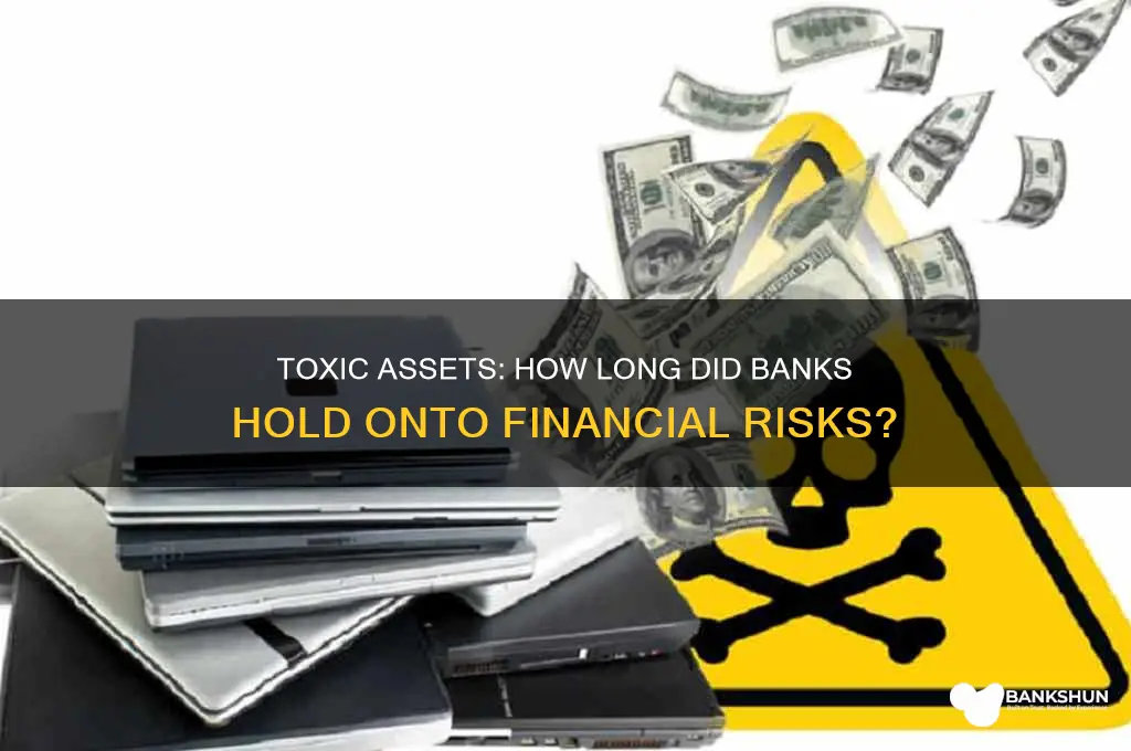 how long did banks keep toxic assets