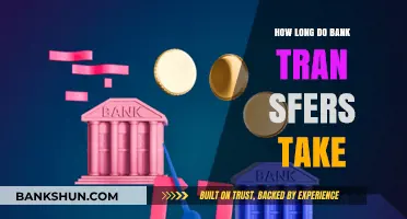 Understanding Bank Transfer Times: How Long Do Transactions Take?