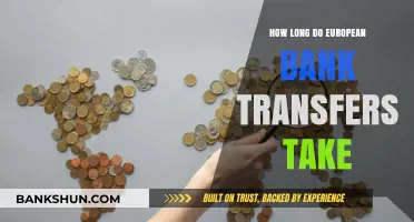 European Bank Transfers: Understanding Processing Times and Delays