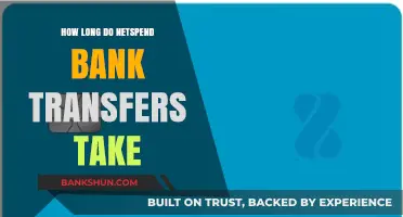 Netspend Bank Transfers: Understanding Processing Times and Delays