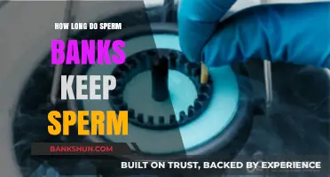 Sperm Storage Duration: How Long Do Sperm Banks Preserve Samples?