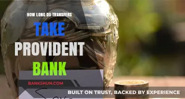 Provident Bank Transfer Times: How Long Do Transactions Typically Take?