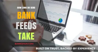 Understanding Xero Bank Feed Processing Time: A Comprehensive Guide