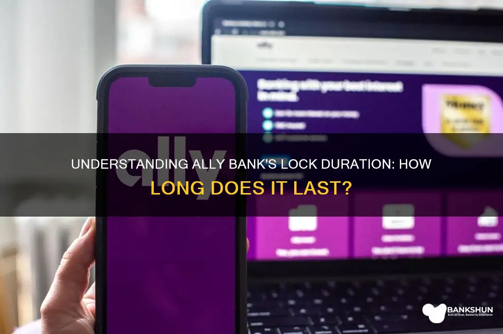 how long does ally bank lock last