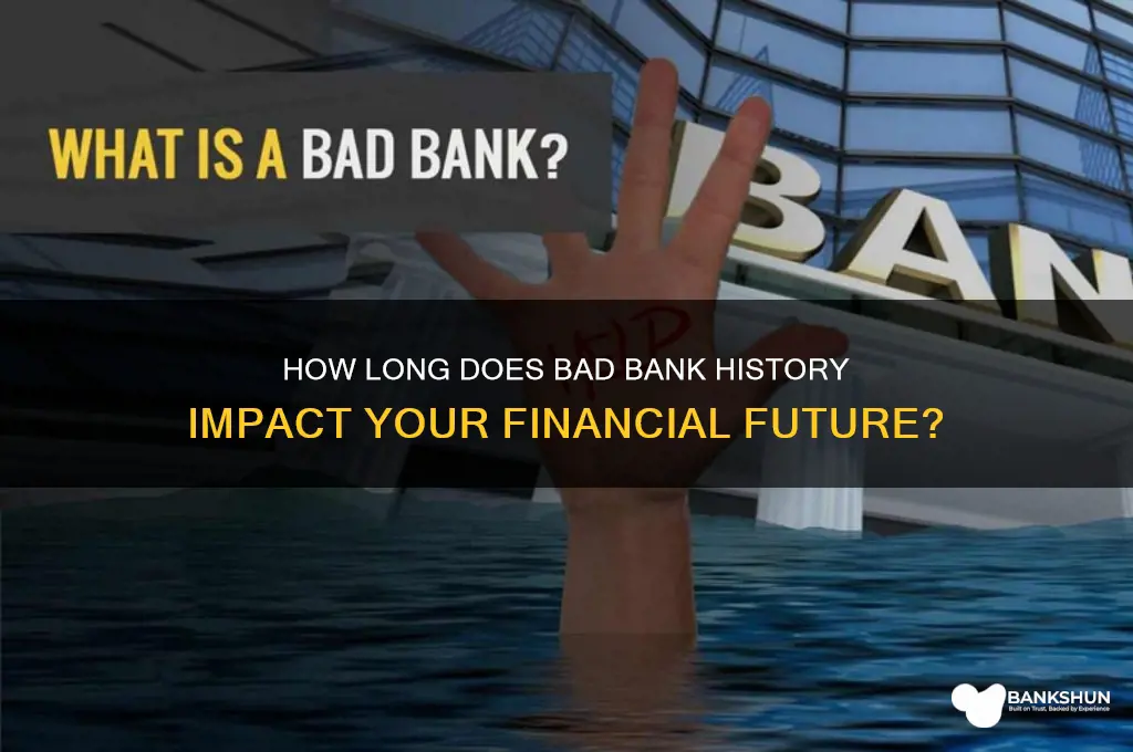how long does bad bank history last