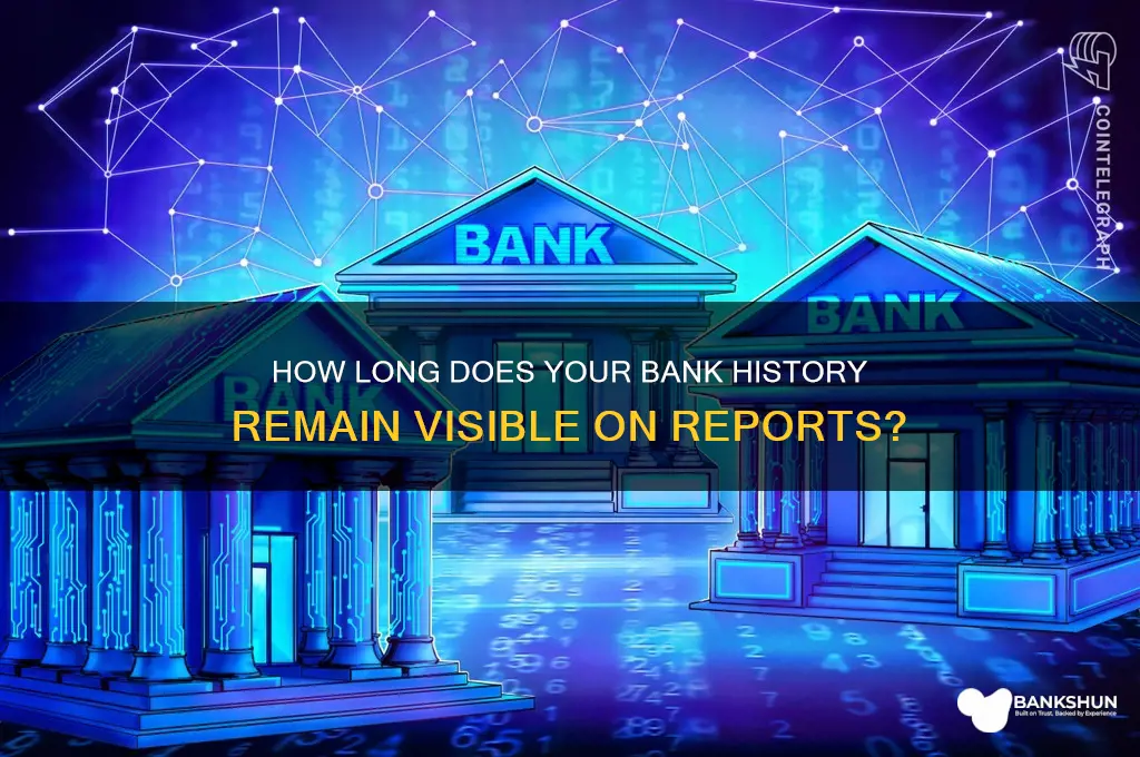 how long does bank hustory show up