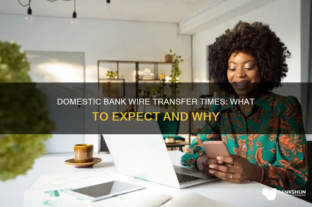 how long does bank wire take domestic