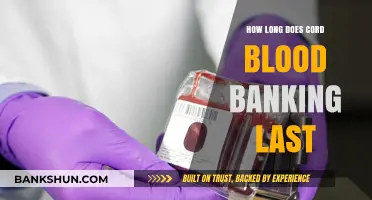 Cord Blood Banking Lifespan: How Long Does Storage Last?