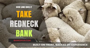 How Long Does Redneck Bank Take for Processing Transactions?