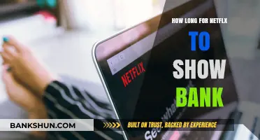 How Long Does Netflix Take to Reflect Bank Payments?